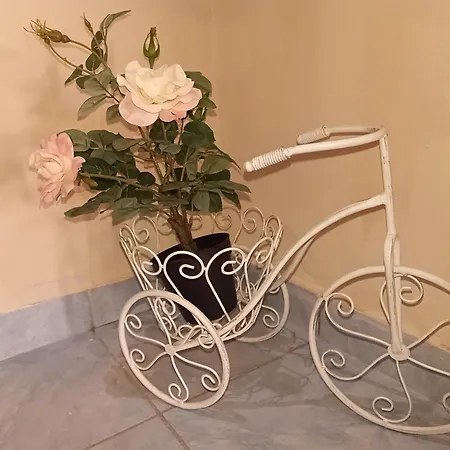 Guest house Fodor