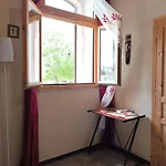 Palmeri *