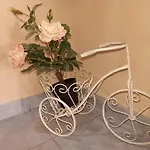 팜스테이 Palmeri