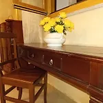 팜스테이 Palmeri 아볼라