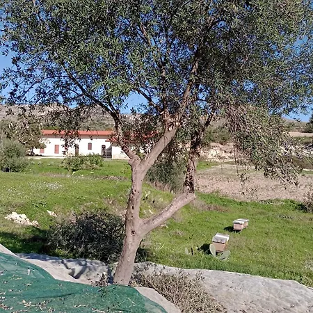 Bauernhof Palmeri Avola