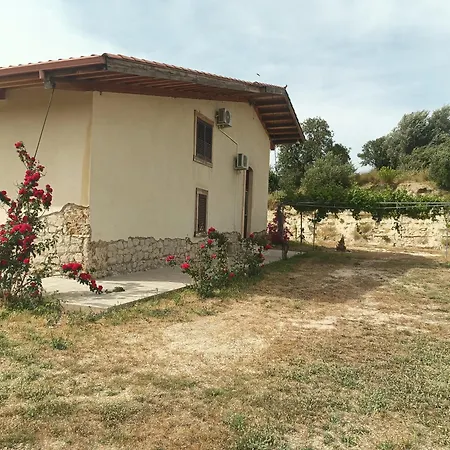 Palmeri * Avola